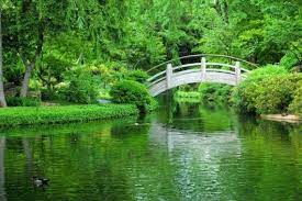Beautiful Garden The Moon Bridge Japanese Gardens Fort Worth Photo By Briana Kew Japanese Garden Japanese Garden Design Japan Garden