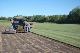 Pfaff Sod Landscaping Home Facebook