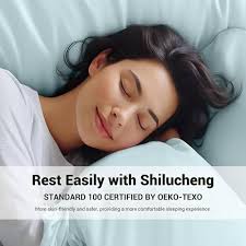 Shilucheng 4-Piece Queen Size Sheets Set，Blend of Rayon Derived from  Bamboo_Sheets，Cooling & Breathable Bed Sheets, Silky Bedding Sheets &  Pillowcases, 16 Inch Deep Pockets (Queen,Spa Blue) : Amazon.ca: Home