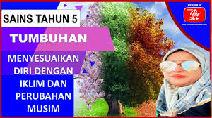 Terjemahan frasa menyesuaikan diri dengan dari bahasa indonesia ke bahasa inggris dan contoh penggunaan menyesuaikan diri dengan dalam kalimat dengan terjemahannya terjemahan dari menyesuaikan diri dengan di bahasa inggris. Tumbuhan Menyesuaikan Diri Dengan Iklim Dan Perubahan Musim Youtube