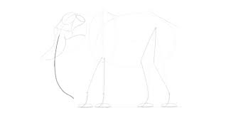 Willst du elefant zeichnen lernen? Wie Zeichnet Man Einen Elefanten Schritt Fur Schritt Design Illustration Website Entwicklung Computerspiele Und Mobile Anwendungen