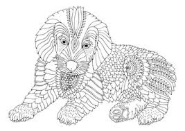 Supercoloring.com is a super fun for all ages: Fototapete Hand Drawn Flamingo Sketch For Anti Stress Adult Coloring Book In Zentangle Style Vector Illustration For Coloring Page Isolated On White Background Template For Poster T Shirt Cover Or Tattoo Keiti