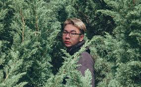 Image result for man near tree