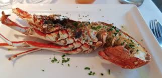 Brasserie Du Port Ile Rousse Port De Plaisance Restaurant Avis Numero De Telephone Photos Tripadvisor