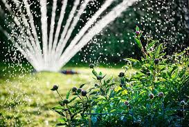 Grab a 5 gallon bucket and time how long it takes to fill it up with a hose that's connected as if it was set up for your sprinkler system. Irrigation 101 Watering Your Garden Garden Design