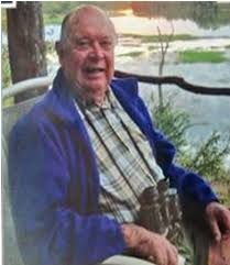 Image result for Triplochiton zambesiacus