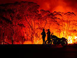 Check spelling or type a new query. Australia Fires 8 Things Everyone Should Know About The Bushfire Disaster Vox