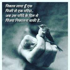 Jee Sahi Hy Janaab Panchi Ko Gold Soneki Pinned Rakhne O Apni Aajaadi Khojaaten Hy We Cont Live Without Freedom Usk Bollywood Quotes Hindi Quotes Epic Quotes