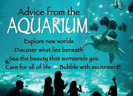 Care For All Of Life Aquarium Advice Advicefromnature Advice Personal Growth Motivation Advice Quotes