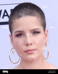 M halsey hi-res stock photography and images