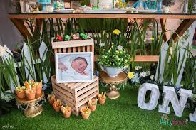 Peter Rabbit Birthday Party Kara S Party Ideas Peter Rabbit Birthday Garden Party Birthday Peter Rabbit