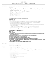 Available for word and pages. Environmental Professional Resume Samples Velvet Jobs