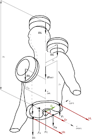 They cause motion and produce a force that the body . Free Body Diagram Of The Upper Part Of The Body After A Cut With A Download Scientific Diagram