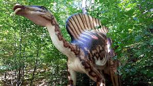 Check spelling or type a new query. Dino Parc RaÈnov Sau Bucuria De A Fi Din Nou Copii Vom Reveni Cu SiguranÈÄ Impresii Dino Parc RaÈnov Amfostacolo
