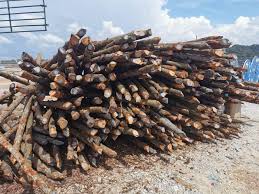 Pembekal Kayu Bakau Posts Facebook