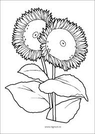 Imagini de colorat cu floricele. Planse De Colorat Cu Flori Archives Planse De Colorat