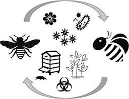 The abiotic factors will determine what kinds of biotic factors will be present. Abiotic And Biotic Factors Affecting The Replication And Pathogenicity Of Bee Viruses Sciencedirect
