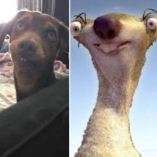 Ada satu gambar kartun yang waktu pertama kali saya melihatnya, saya tertawa ngakak dan terbawa sampai mahu tidur, ingin tahu? Gambar Lawak Dan Menarik 12 Gambar
