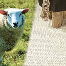 Teppichboden meterware jetzt bei hornbach schweiz kaufen! Teppichboden Bahnenware Schurwolle Hochflor Sisal Etc Vitula Wien