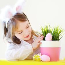 13,762 Easter Flower Pot Stock Photos