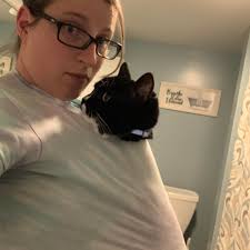 NEW GUEST ANNOUNCEMENT! Steel City Con is excited to announce Steve Downes  is attending Steel City Con