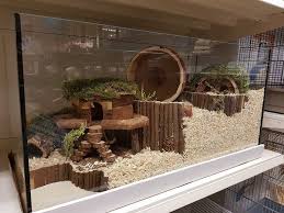Hamsterscaping Cage Is Way Too Small Regardless Of Hamster Species But Good Layout Reference Cage Hamster Diy Cage Hamster Species Cool Hamster Cages
