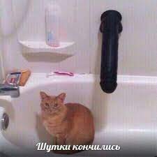 анатолий ноготочки💅 on Twitter: "… "