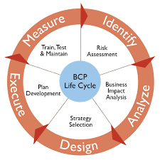Do You Have A Business Continuity Plan Bcp Carolina Computer Concepts Business Continuity Planning Business Continuity Business Process Management
