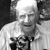 Bluford Halcomb Obituary (2016)