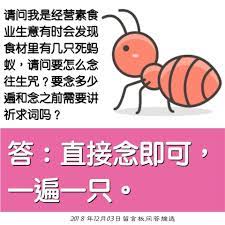 心靈法門 螞蟻 螞蟻大軍來了 求菩薩後十幾分鐘消失 同修分享 在前年 大娘一樓的一位老婆婆來找她 痞客邦