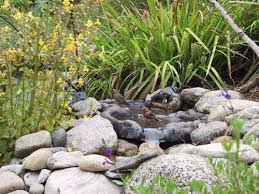 Download Wildscaping Birds Home