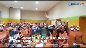 Loker pabrik teh di tegal. Ganjar Pranowo Kunjungi Pabrik Teh Gopek Di Slawi Youtube