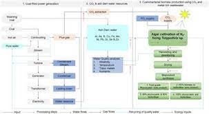 Nurus ürün kataloğu 18mb hemen oku. Frontiers Bioproduct Potential Of Outdoor Cultures Of Tolypothrix Sp Effect Of Carbon Dioxide And Metal Rich Wastewater Bioengineering And Biotechnology