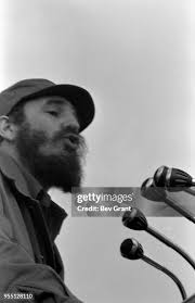 1,698 Mike Castro Stock Photos, High-Res Pictures, and Images