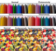 We did not find results for: Through Rose Tinted Contact Lenses Gold Nanocomposites Help The Color Blind See The World Differently Khalifa University