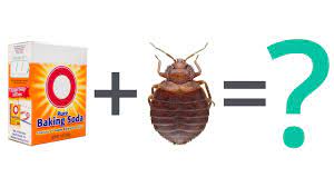 We did not find results for: Does Baking Soda Kill Bed Bugs How To Use Baking Soda To Get Rid Of Bed Bugs Getridofallthings Com