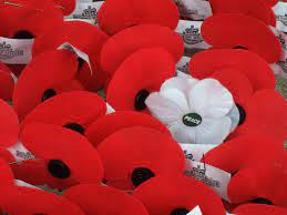 Faux leaf and flower decor let you add a little nature to your space without all the maintenance. White Poppy Wikipedia