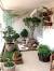 Backyard Zen Patio