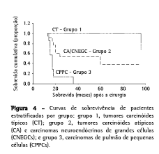 Malignant melanoma arising within a seborrhoeic keratosis. Jornal Brasileiro De Pneumologia Diagnostico E Prognostico Dos Tumores Pulmonares Neuroendocrinos Mediante Microscopia Eletronica E Analise Multivariavel De Agrupamento