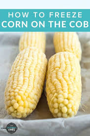How To Freeze Corn On The Cob In 2020 Freezing Corn Frozen Corn Cooking Corn On Cob