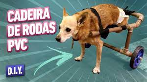 Cadeira de rodas para cachorros de 15 a 30 kg. Como Fazer Cadeira De Rodas Para Cachorro E Gato Youtube