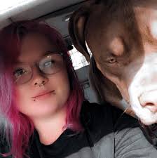 TY'S X2, UNICORN CLIPS X2, ADOPT A PET PUPPY DOG