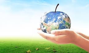 With the push towards sustainability gaining steam, here's what big beauty brands are doing to reduce packaging waste Foundation Earth To Give Consumers Power To Build A More Sustainable Food Industry