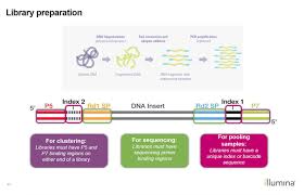 Ngs Tutorials Bioinformatics Tutorials And More