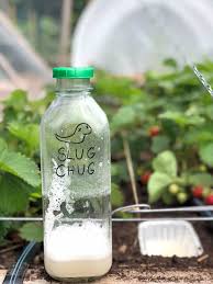 Compare prices & read reviews. 8 Ways To Get Rid Of Slugs The Art Of Doing Stuff