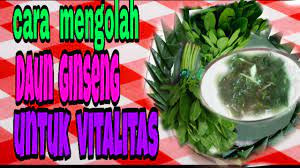 Author februari 17, 2021 resep pertama obat perangsang wanita alamiah yang bisa kamu buat merupakan dengan mekegunaaankan daun jeruk. Cara Mengolah Daun Ginseng Jawa Penambah Stamina Dan Mood Youtube