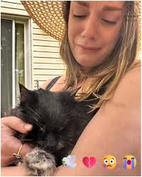 I'm the kind of person who talks to my cat as if they understand every word.