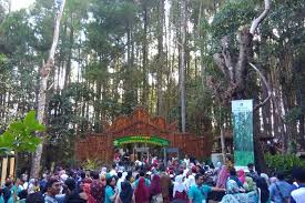 4 tujuan dan sasaran pengelolaan kawasan lindung (1) tujuan pengelolaan kawasan lindung adalah untuk mencegah timbulnya kerusakan fungsi lingkungan hidup. Ini Hutan Pinus Bantul Yang Disebut Presiden Jokowi Instagramable Halaman All Kompas Com