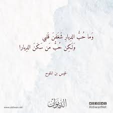 الديوان موسوعة الشعر العربي قيس بن الملوح poet calligraphy arabic calligraphy
