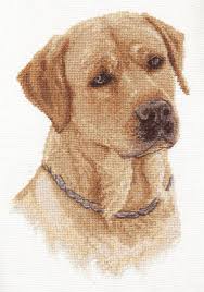 Check spelling or type a new query. Golden Retriever Smile Counted Cross Stitch Kit